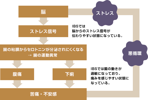 過敏性腸症候群（IBS)の場合